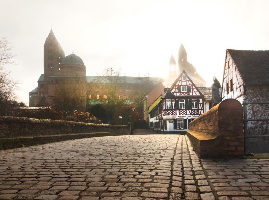 Rheintor-Apartment Speyer Phòng bức ảnh
